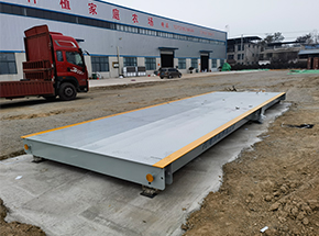 安徽亳州馬韜鯉種植家庭農(nóng)場60噸地磅